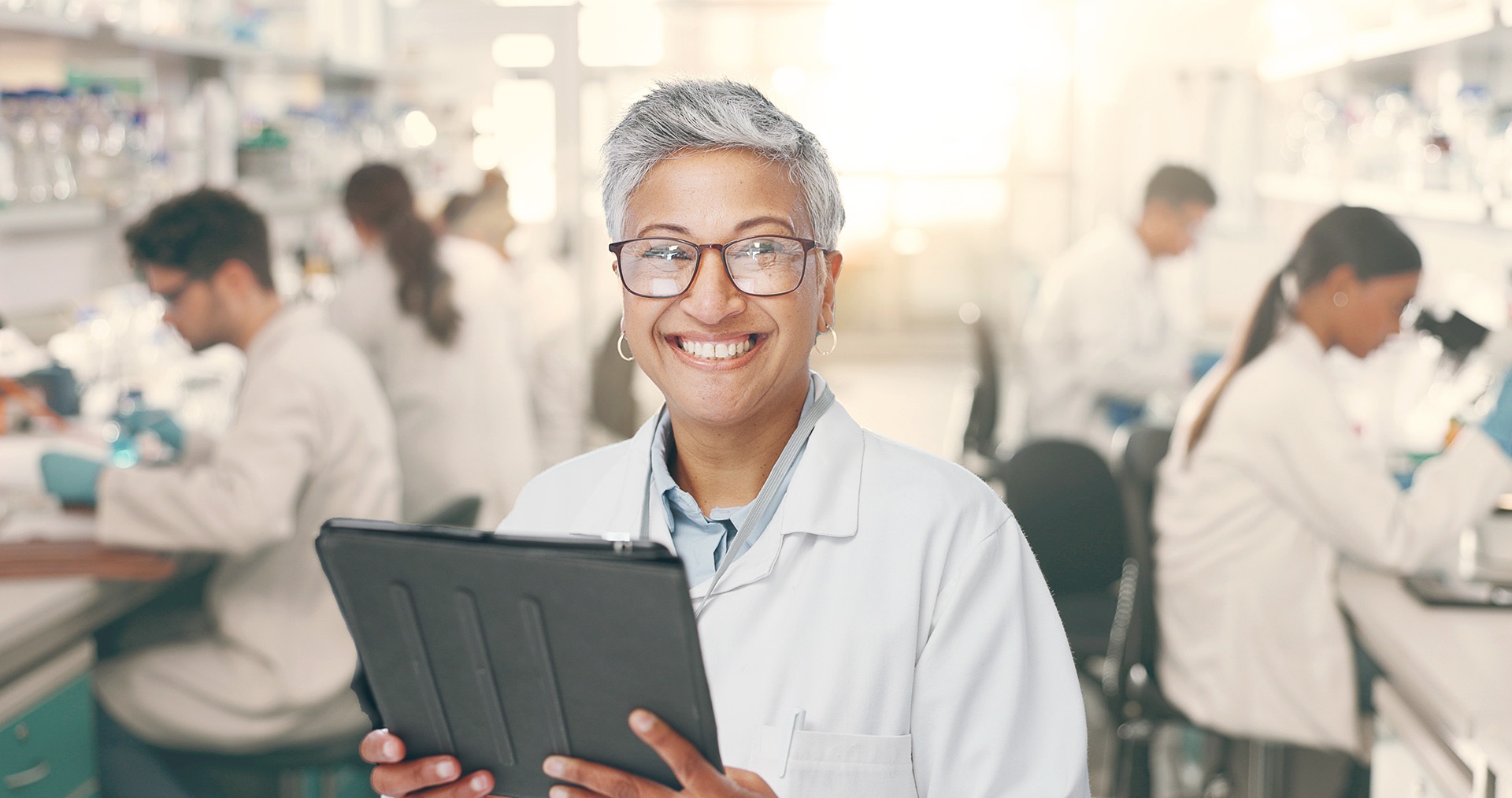 provantis-1-1 provantis