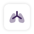 respiratory-system