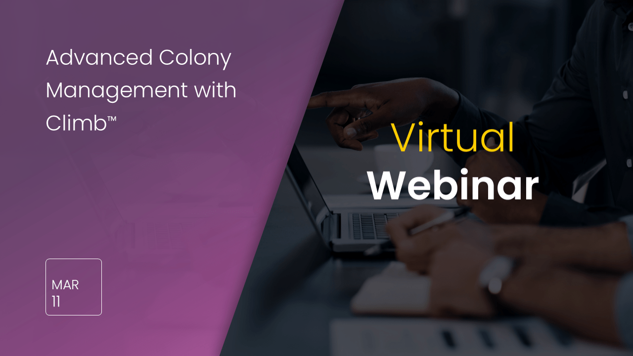 climb colony management event