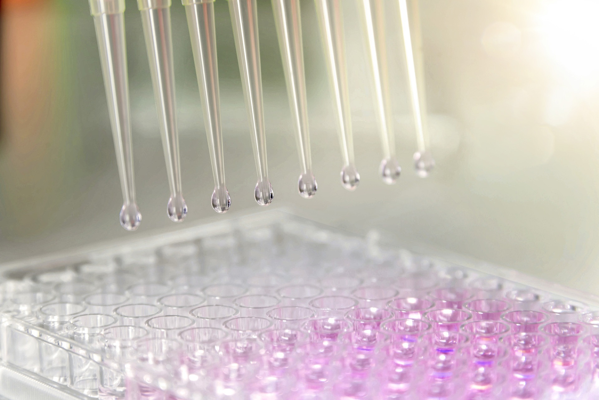 leadscope model applier