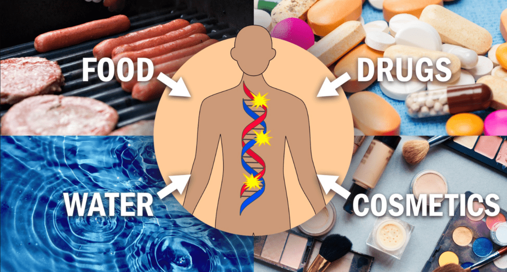 Enhancing N-Nitrosamine Risk Assessment with Read-across: A Valuable Addition to Standard CPCA Calculators